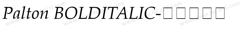 Palton BOLDITALIC字体转换